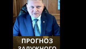 17 пунктів Залужного