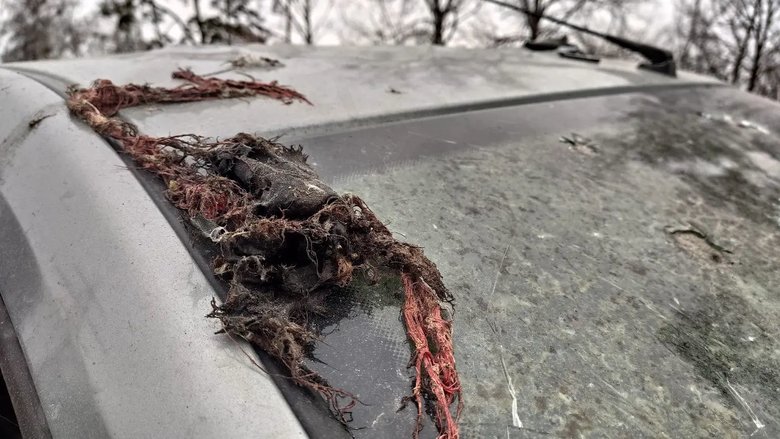 Різня в Бучі: машину прошило кулями, ніби вона паперова, жінці відірвало голову 06