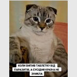 Шкода...