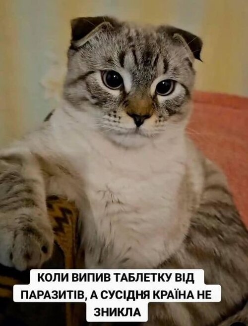 фотожаба