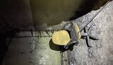 Підозри отримали три зрадника, які катували полонених українців у Горлівці
