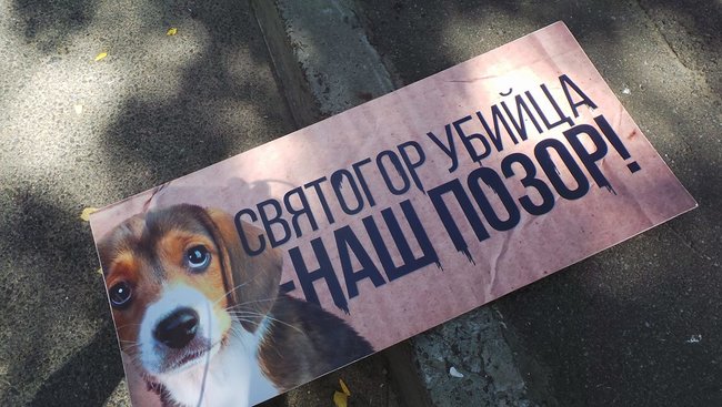 Отключение электричества, самоотвод судьи и митинг: Шевченковский райсуд Киева рассматривает ходатайство об аресте киевского догхантера Святогора 09