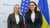 брінк,свіріденко