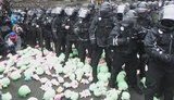 Учасники акції "Свинарчуків Порошенка - за ґрати!" закидали силовиків біля Адміністрації Президента іграшковими свинями. ВІДЕО+ФОТОрепортаж