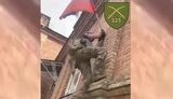 область,курська,дар'їно