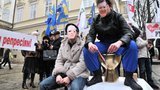 Во Львове годовщину Януковича "отметили" золотым унитазом и метанием яиц. ФОТОрепортаж+ВИДЕО