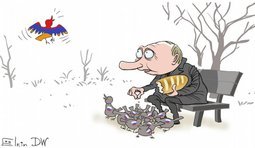 Еще одна птица в свободном полете