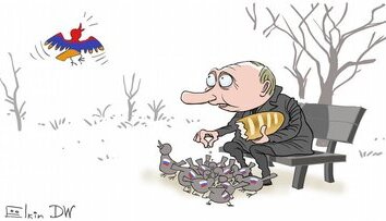 Еще одна птица в свободном полете