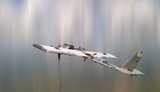 Nine "Molniya" drones and one FPV drone: "Roniny" operators destroy enemy UAVs in skies over Zaporizhzhia. VIDEO