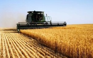 За якими цінами в Україні продають сільгоспземлю