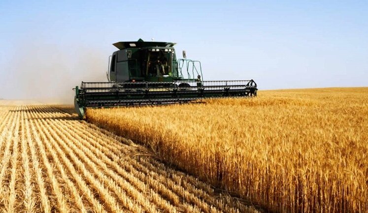 За якими цінами в Україні продають сільгоспземлю