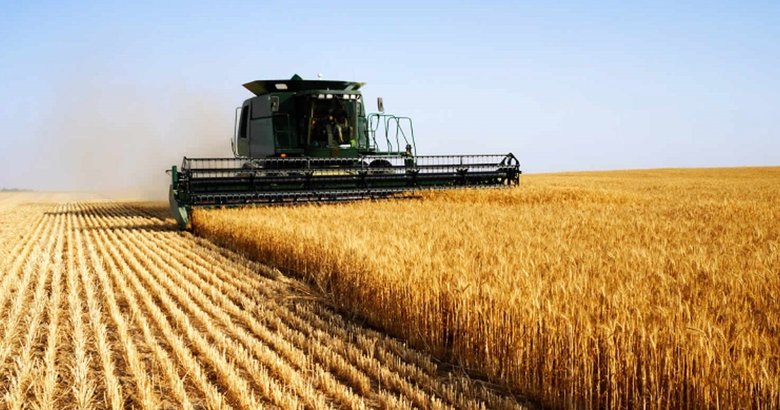 За якими цінами в Україні продають сільгоспземлю 01