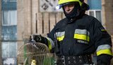 У Тернополі з-під завалів багатоповерхівки рятувальники дістали папугу