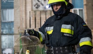 Из-под завалов многоэтажки в Тернополе спасатели достали попугая и нескольких животных, - ГСЧС. ВИДЕО+ФОТОрепортаж
