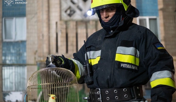Из-под завалов многоэтажки в Тернополе спасатели достали попугая и нескольких животных, - ГСЧС. ВИДЕО+ФОТОрепортаж