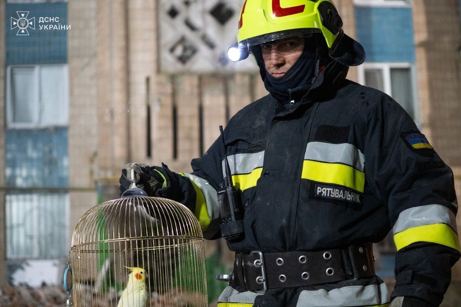 У Тернополі з-під завалів багатоповерхівки рятувальники дістали папугу