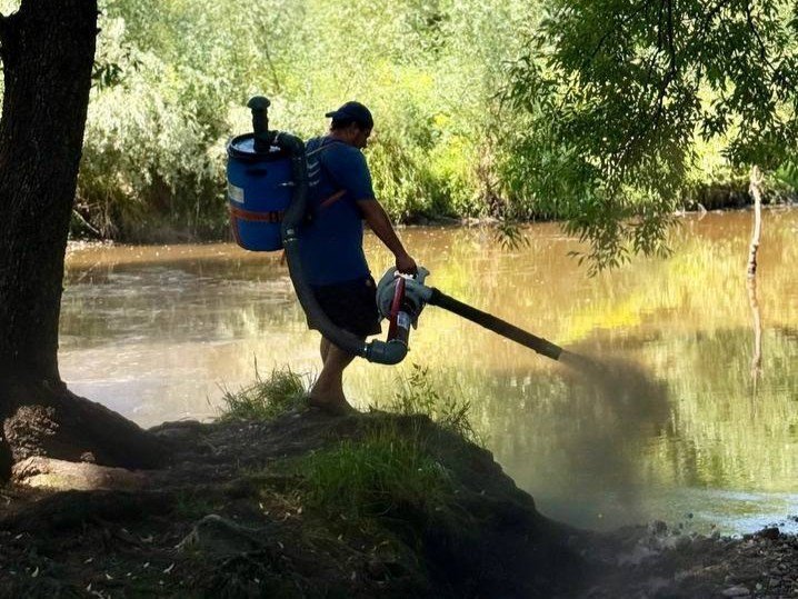 Забруднення озера у Києві