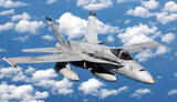 hornet