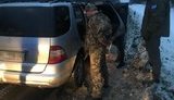 Військовослужбовця затримали на Львівщині під час продажу пістолетів, - СБУ. ФОТОрепортаж