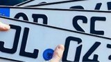 Комитет Южаниной рекомендовал принять законы о легализации "евроблях"