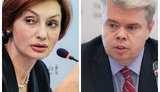 сологуб,рожкова
