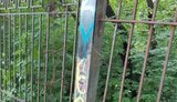жовта,стрічка