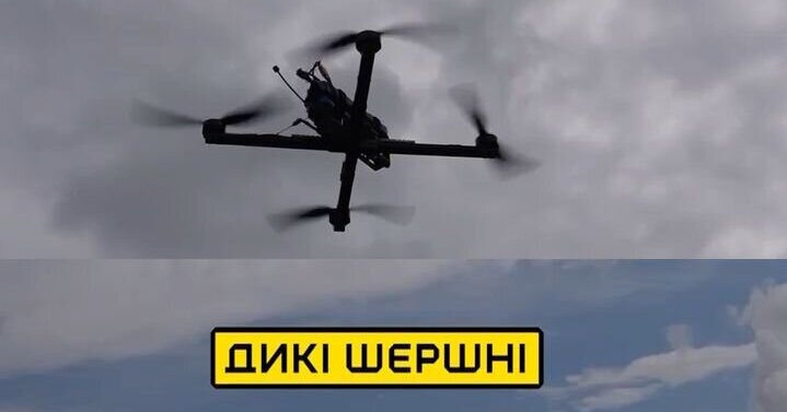 A fundraising initiative for Wild Hornets drones has been announced ...