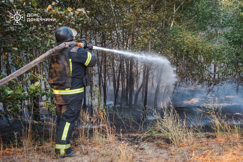У Лиманському районі Донеччини 4 добу гасять лісову пожежу