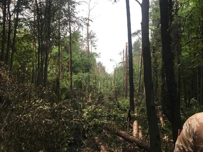 Опубликованы кадры с места крушения вертолета Ми-8. ГБР расследует обстоятельства аварии 05