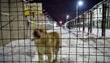Дисциплинарный батальон армии России. ФОТОрассказ о жизни за решеткой