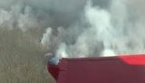 У Чорнобильській зоні триває пожежа четвертий день: вогнем охоплено 10,5 га території, ситуація контрольована. ВIДЕО