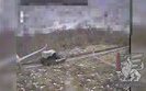 вантажівки