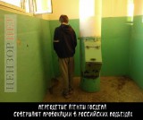 Америка виновата