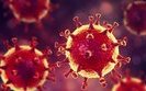Ukraine reports 11,476 new coronavirus cases