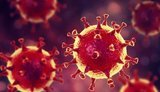 Ukraine reports 11,476 new coronavirus cases