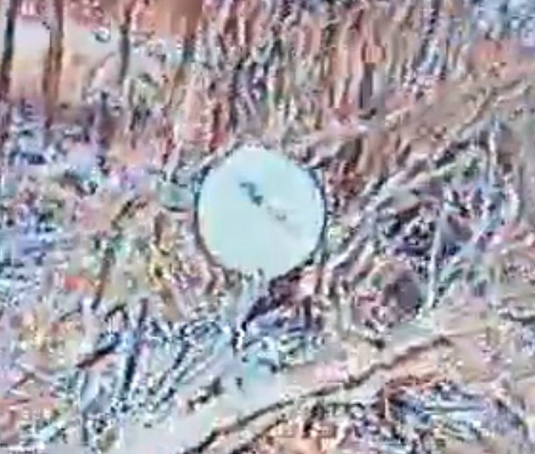 Russian satellite terminals