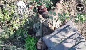 "Бойові" бджоли після прильоту дрона добивають окупанта, який ховався на пасіці. ВIДЕО 18+