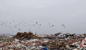 Загарбники хочуть створити сміттєзвалище поблизу Олешківських пісків
