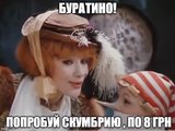 Попробуй!Те