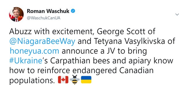 Украинские пчелы помогут спасти находящихся на грани исчезновения канадских, - посол Ващук 01