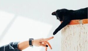 Що таке перетримка