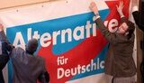 для,німеччини,afd,альтернатива