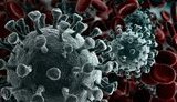 Ukraine reports 8,404 new coronavirus cases