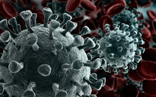 Ukraine reports 8,404 new coronavirus cases