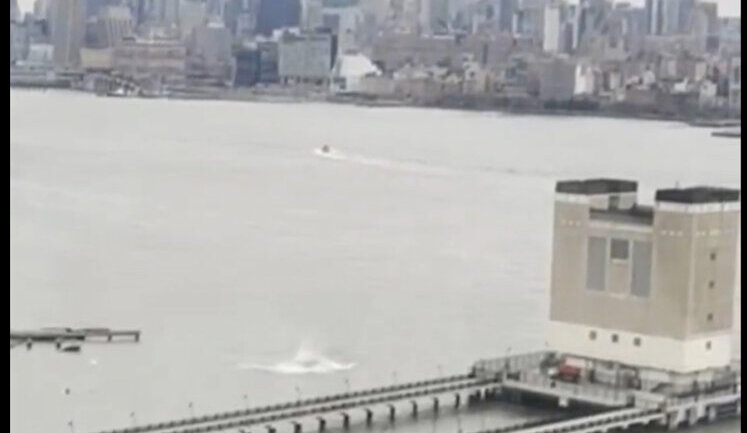 6 people killed in helicopter crash in New York - media. VIDEO