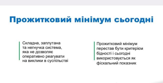 Пришло время осуществить реформу прожиточного минимума, - Соколовская 03