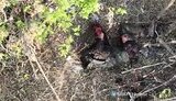 війна