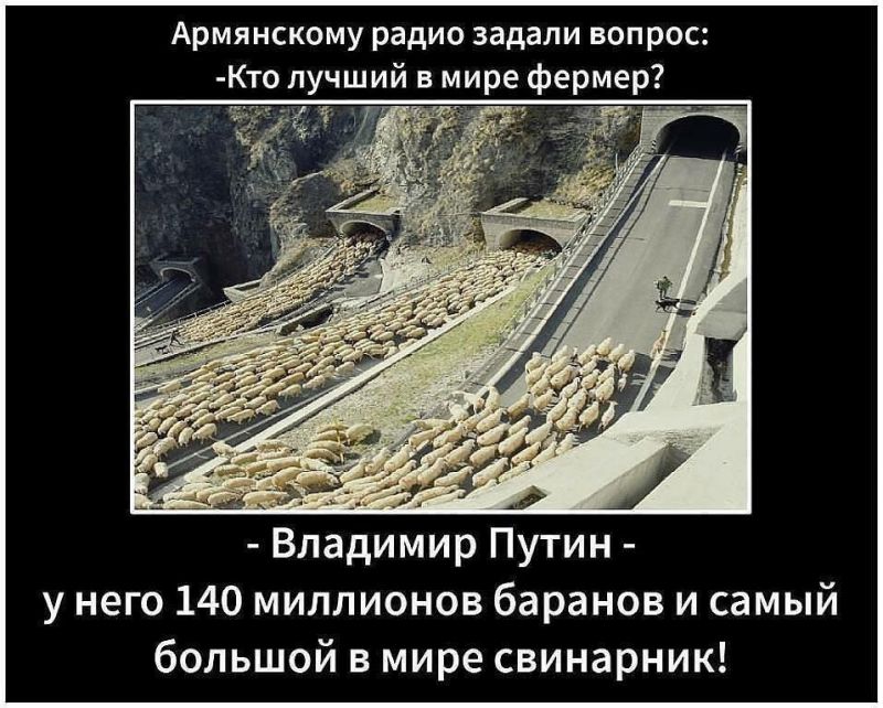 Лучший фермер