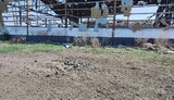 хрещенівка
