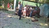 одесса взрыв авто